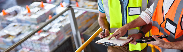 Vehicle Standards Reform